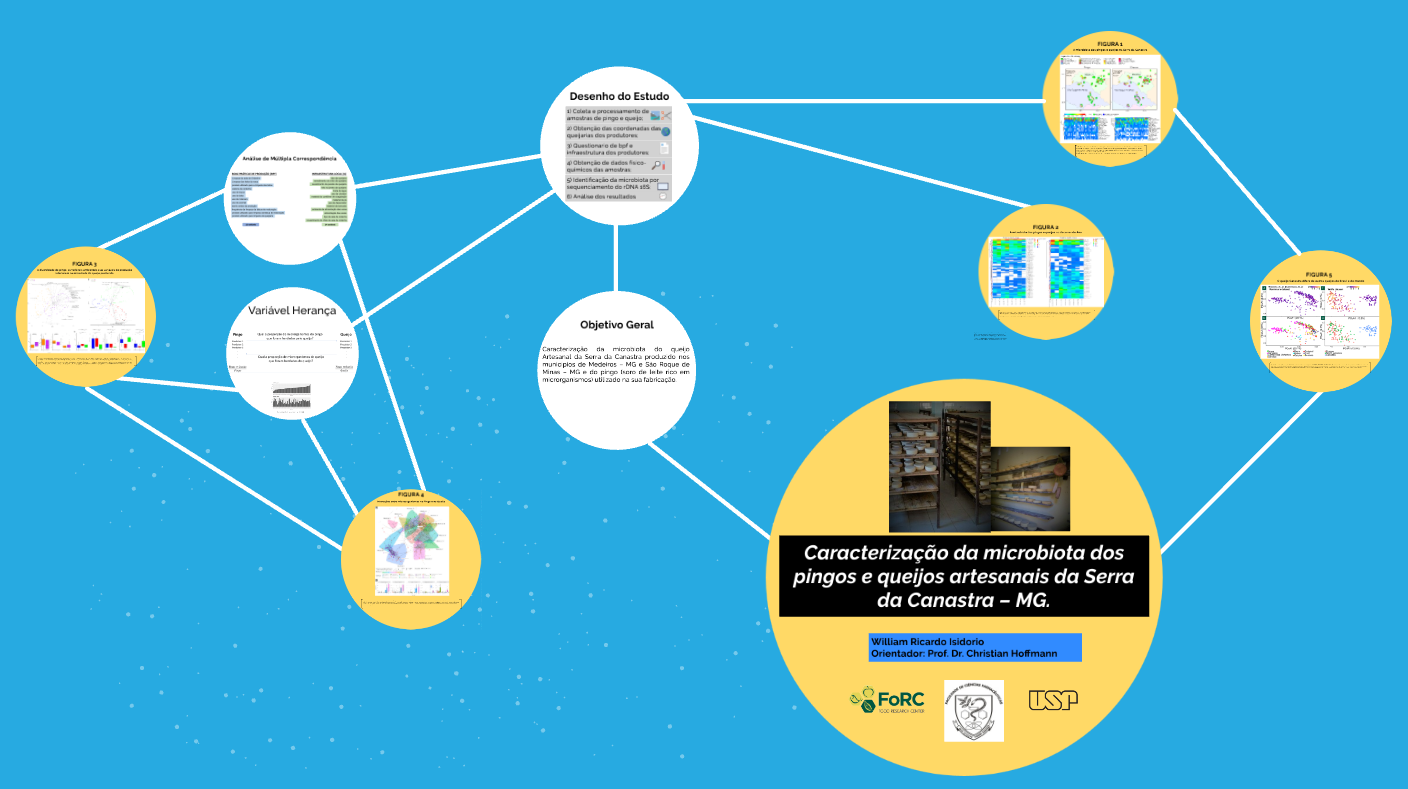 Microbiota characterization of artisanal cheeses from Serra da Canastra – MG
                                          and the endogenous starter culture used in the production